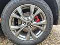 Ford Kuga KUGA  ST-Line X 2.0 TDCI AUT. LEDER 13999NETTO Grau - thumbnail 17