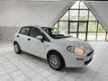 Fiat Punto Evo 5p 1.3 mjt II 75CV lounge Bianco - thumbnail 3