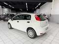 Fiat Punto Evo 5p 1.3 mjt II 75CV lounge Bianco - thumbnail 4