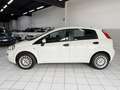 Fiat Punto Evo 5p 1.3 mjt II 75CV lounge Bianco - thumbnail 8