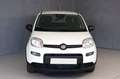 Fiat Panda 1.0 FireFly S&S Hybrid Biały - thumbnail 1