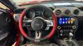 Ford Mustang Fastback 5.0 ti-vct V8 GT 460cv auto my20 Rot - thumbnail 10