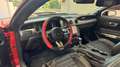 Ford Mustang Fastback 5.0 ti-vct V8 GT 460cv auto my20 Rot - thumbnail 11