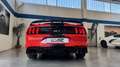 Ford Mustang Fastback 5.0 ti-vct V8 GT 460cv auto my20 Rot - thumbnail 7