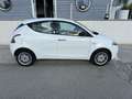 Lancia Ypsilon 1.2 8v Platinum ecochic Gpl 69cv E6 - thumbnail 4