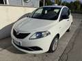 Lancia Ypsilon 1.2 8v Platinum ecochic Gpl 69cv E6 - thumbnail 1