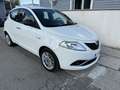 Lancia Ypsilon 1.2 8v Platinum ecochic Gpl 69cv E6 - thumbnail 2