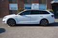 Skoda Octavia Kombi 1.5 TSI *Sportline*Matrix Led*DSG Weiß - thumbnail 6