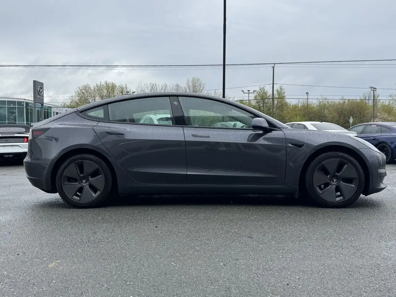 Tesla Model 3 снимка Tesla Model 3