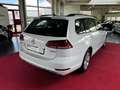 Volkswagen Golf Comfortline BlueMotion TGI Erdgas Benzin Weiß - thumbnail 3