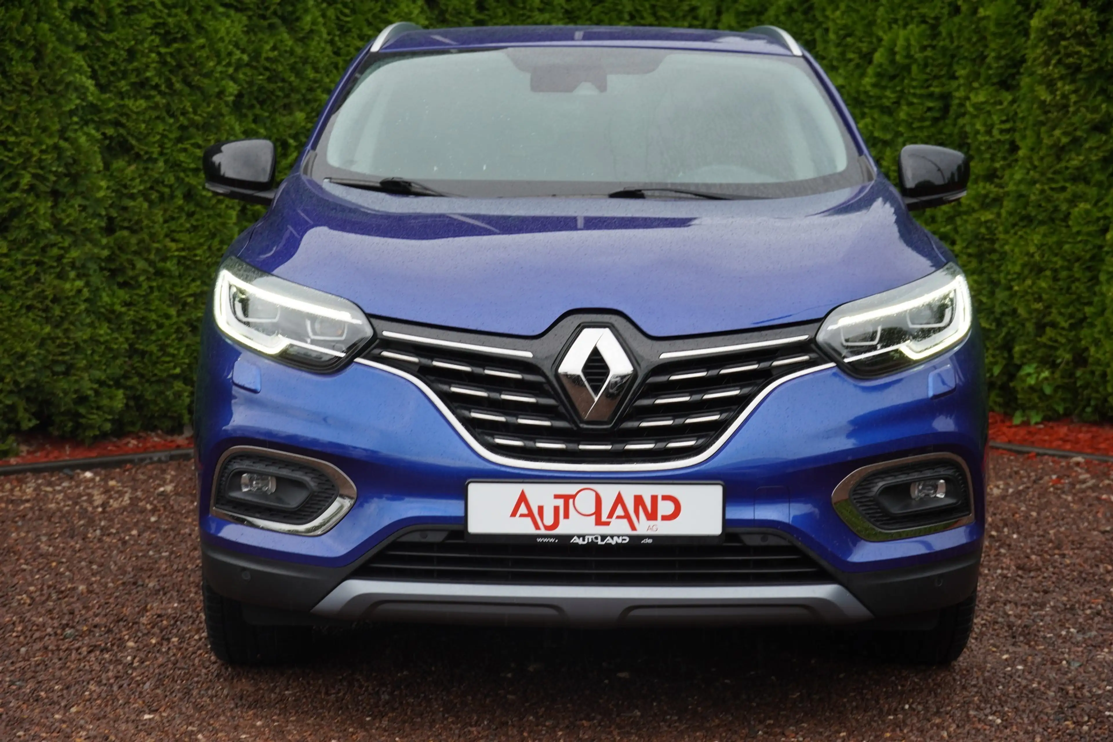 Renault Kadjar 1.2 TCE Bose Edition — photo 6