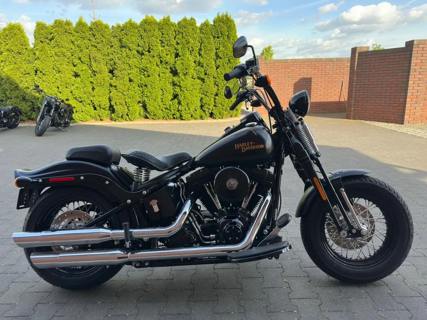 Harley-Davidson Softail Harley-Davidson Cross Bones 2008r-MAT Negro - 1