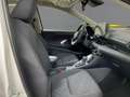 Toyota Yaris 1.5 Hyb. Business Edition CVT-Automatikget Weiß - thumbnail 11