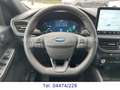 Ford Kuga 2.5 FHEV ST-Line X *TÜV neu+FGS 5J/100tkm* Grün - thumbnail 13