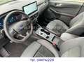 Ford Kuga 2.5 FHEV ST-Line X *TÜV neu+FGS 5J/100tkm* Grün - thumbnail 9