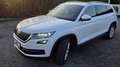 Skoda Kodiaq Style 4x4 Weiß - thumbnail 5