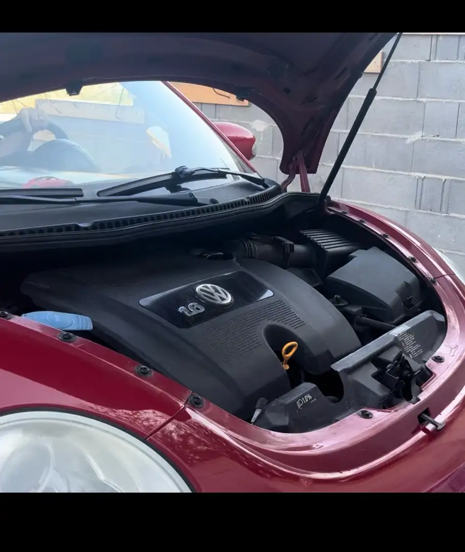 Volkswagen New Beetle Cabrio 1.4 FL - 1
