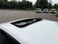 Volkswagen Golf 1.4 TSI Comfortline Wit - thumbnail 7