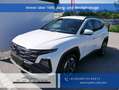 Hyundai TUCSON GO Plus 1.6 T-GDi HEV 4WD AT *PDC*RFK*NAVI*SHZ*... Weiß - thumbnail 1