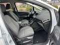 Ford C-Max 1.0 EcoBoost Titanium Navi Kamera Weiß - thumbnail 11