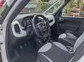 Fiat 500L 1.3 mjt Lounge 85cv Bianco - thumbnail 9