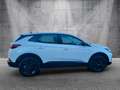 Opel Grandland X Grandland Premium"GS Line" Kamera/LED-Licht/DAB+ Wit - thumbnail 9