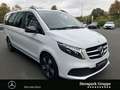 Mercedes-Benz V 250 V 250 d EDITION Lang Weiß - thumbnail 5