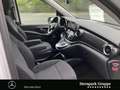 Mercedes-Benz V 250 V 250 d EDITION Lang Weiß - thumbnail 7