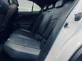 Lexus UX 250h F Sport 4WD Bianco - thumbnail 14