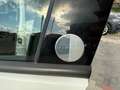 Fiat 500L 500L 1.4 T-Jet 95 CV GPL Mirror Bianco - thumbnail 8