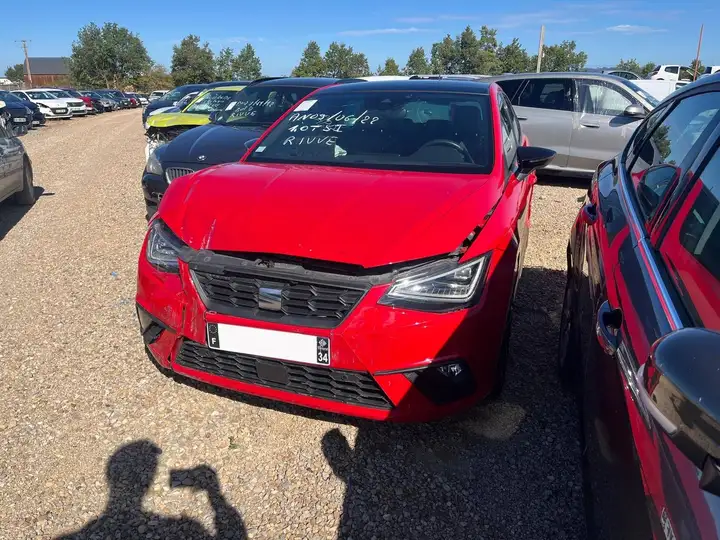 Seat Ibiza Ibiza V 1.0 TSi 110 FR Exclusive DSG7 / GG113 — photo 2