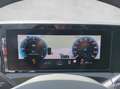 Volkswagen Tiguan Friends TDI 4MOTION DSG Grau - thumbnail 12