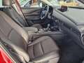 Mazda CX-30 e-Skyactive G140 Homura Plus Aut. Rot - thumbnail 17