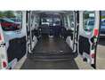 Renault Confort 1.5 Energy dCi 90cv TVA RECUPERABLE + Rada Белый - thumbnail 49