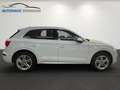 Audi Q5 2,0 TFSI quattro sport*S-Line*LED*Totw*R-Kam Blanco - thumbnail 6
