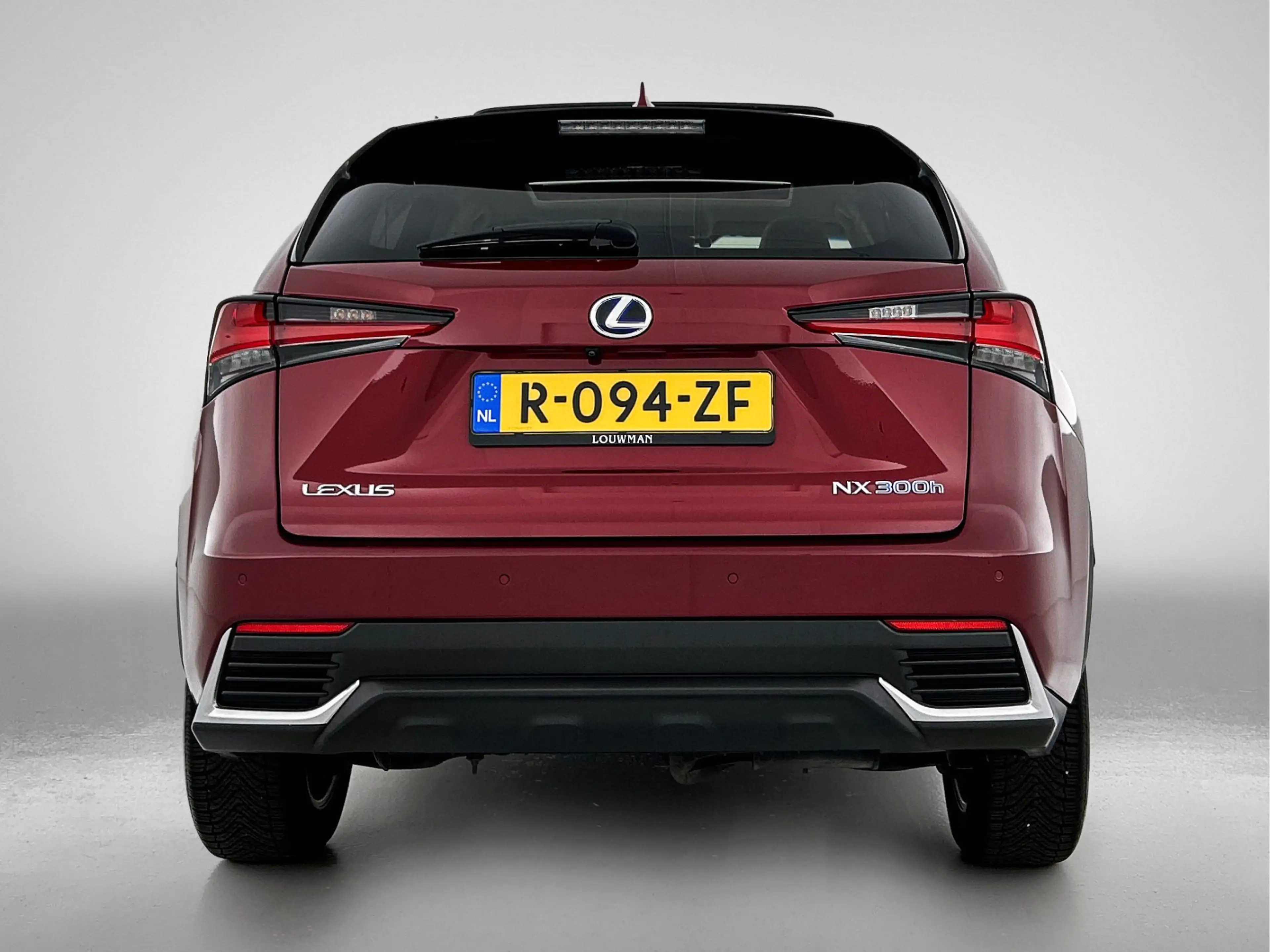 Lexus NX 300h AWD Luxury Line Limited | Schuif - / kanteldak | — photo 10