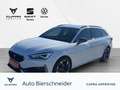 CUPRA Leon Sp. 2.0 TDI DSG eHeck FaPa XL LED Navi WP Weiß - thumbnail 1