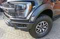 Ford F 150 3.5 V6 Raptor | Ultieme Power Pick-up | BPM VRIJ, Noir - thumbnail 38
