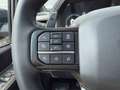 Ford F 150 3.5 V6 Supercrew Ecoboost Raptor | BPM VRIJ | B&O Schwarz - thumbnail 45