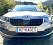 Skoda Karoq 1,6 TDI Style DSG Aut. Grau - thumbnail 2