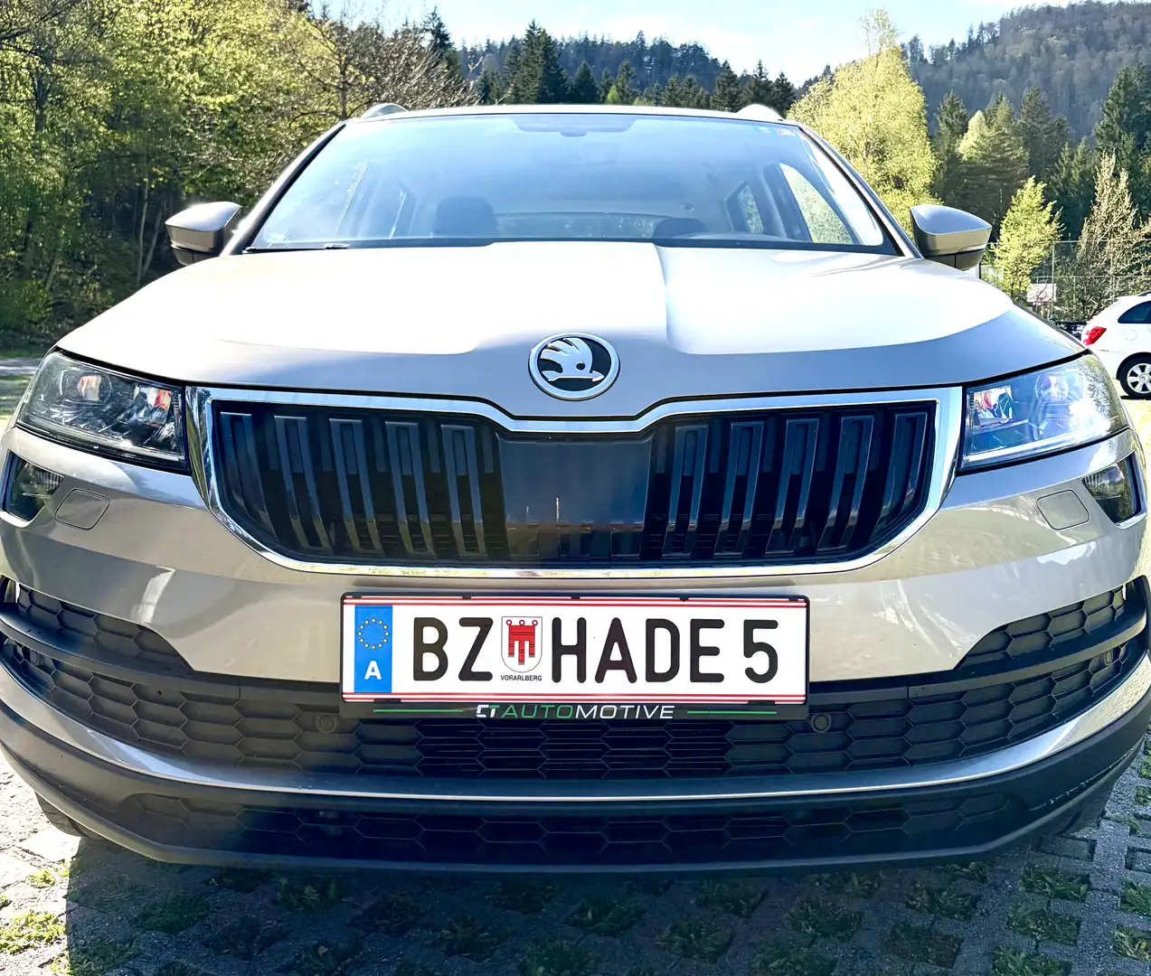 Skoda Karoq 1,6 TDI Style DSG Aut. Grau - 2