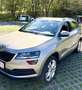 Skoda Karoq 1,6 TDI Style DSG Aut. Grau - thumbnail 1