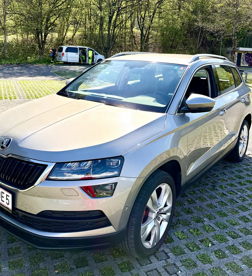 Skoda Karoq 1,6 TDI Style DSG Aut. Grau - 1