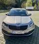 Skoda Karoq 1,6 TDI Style DSG Aut. Grau - thumbnail 7