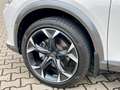 CUPRA Formentor 1.5 TSI DSG Bianco - thumbnail 14