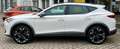 CUPRA Formentor 1.5 TSI DSG Bianco - thumbnail 4