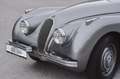 Jaguar XK 120 OTS Aluminium Body, äußerst selten Grau - thumbnail 5