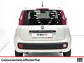 Fiat Panda van 1.2 gpl pop 69cv 2p.ti serie 3 e6d-temp Blanc - thumbnail 4