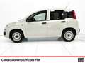 Fiat Panda van 1.2 gpl pop 69cv 2p.ti serie 3 e6d-temp Blanc - thumbnail 3