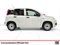 Fiat Panda van 1.2 gpl pop 69cv 2p.ti serie 3 e6d-temp Blanc - thumbnail 5